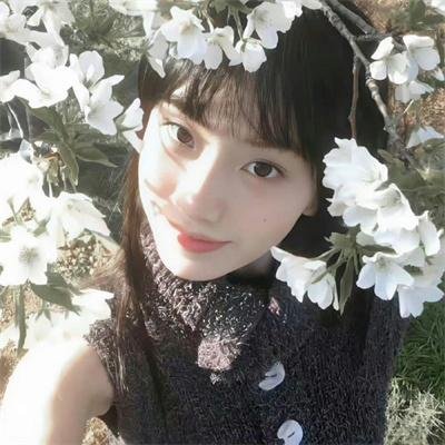 天使爱美丽国语